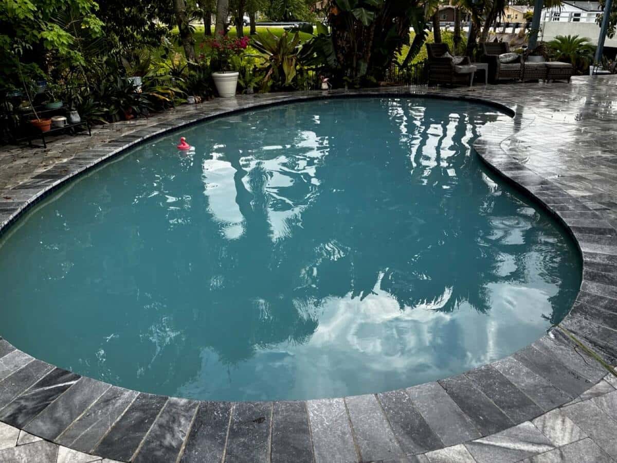 Crystal-clear pool after recovery — Royal Palm, severe algae
