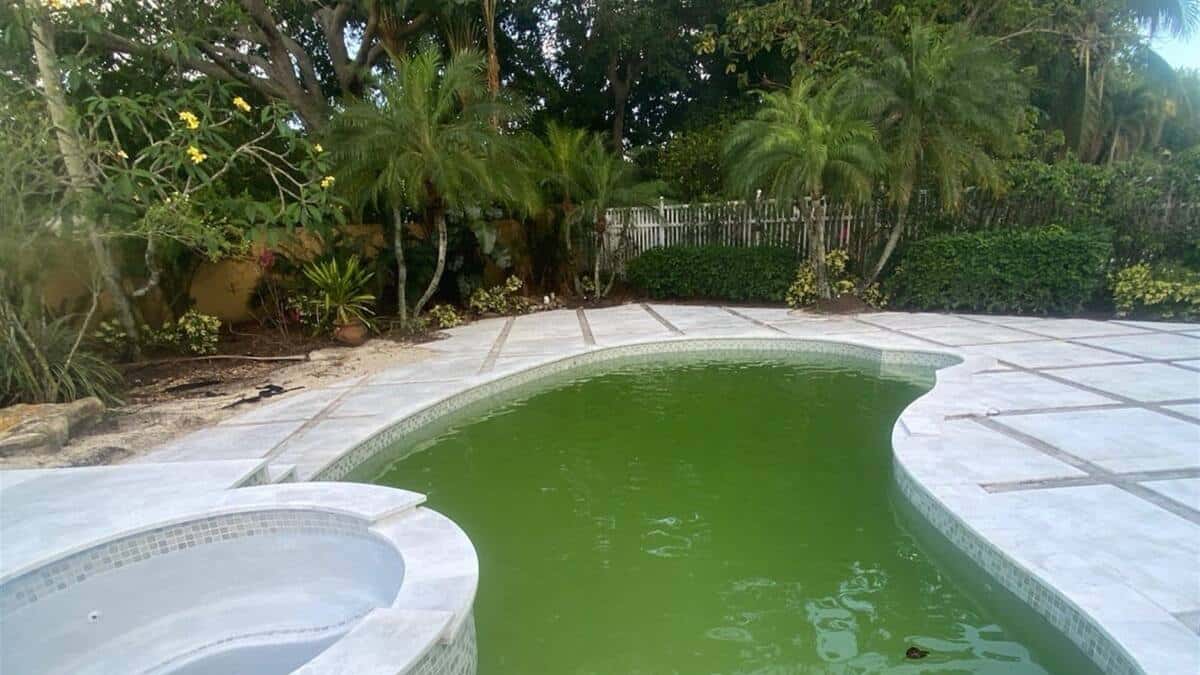 Green pool before recovery — East Boca, residential