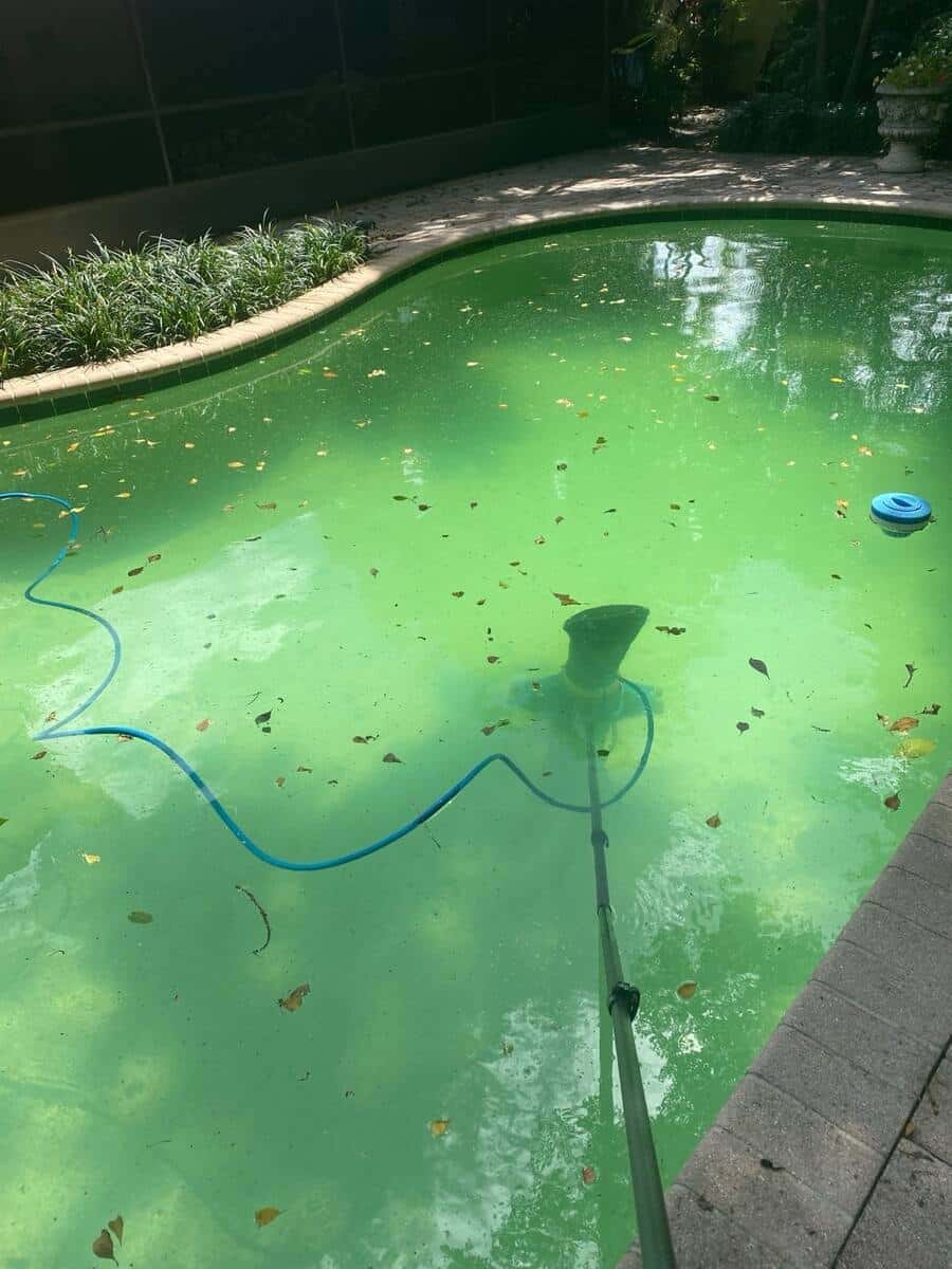 Green pool before recovery — Boca West, post-storm