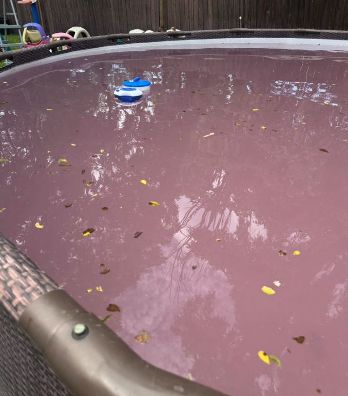 Pink algae / pink slime in the low-flow fittings of a South Florida pool — a salmon-pink slick film around return jets and inside baskets, caused by Methylobacterium bacteria